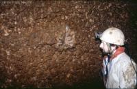 Dog tooth calcite in the entrance passage. (Photographer: G.J. Mullan)