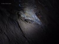 Uppermost Western Passage, unreachable across the shaft, 2013. (Photographer: A. Atkinson)